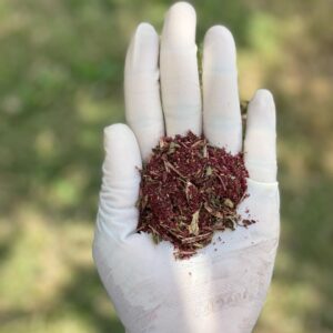 Herbal Hair Tea